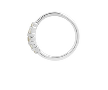 Load image into Gallery viewer, Brigitte Seamless Ring- 18g 5/16&quot;
